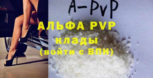 индика Осинники