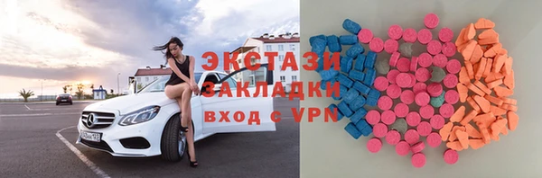 индика Осинники