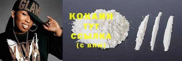 индика Осинники