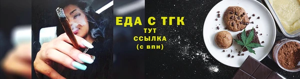 индика Осинники
