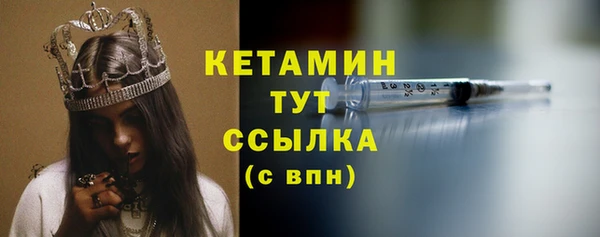 индика Осинники