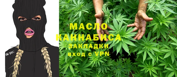 индика Осинники