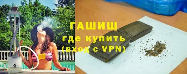 индика Осинники