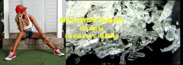индика Осинники