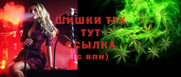 индика Осинники