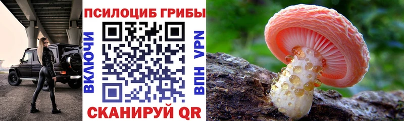 Галлюциногенные грибы Psilocybe  где купить наркоту  МЕГА маркетплейс  Чусовой 