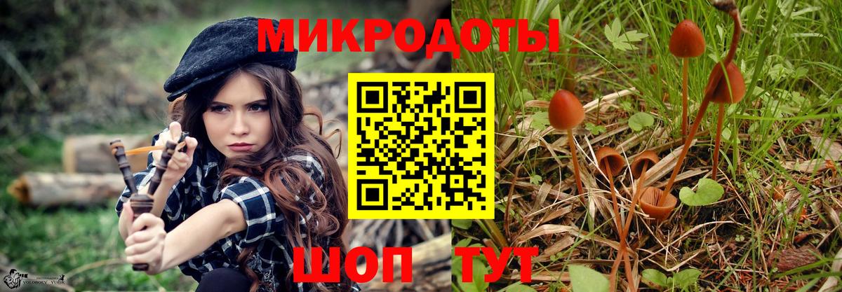 Псилоцибиновые грибы Psilocybine cubensis  Чусовой  Псилоцибиновые грибы Psilocybe 